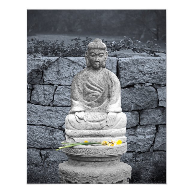 Peace Garden Fototryck (Framsidan)