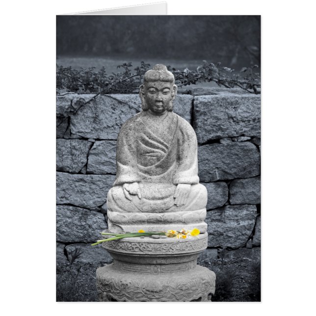 Peace Garden Hälsningskort (Framsidan)