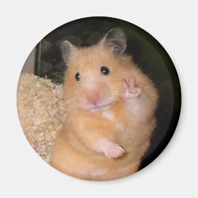 Peace Hamster Meme Magnet (Framsidan)