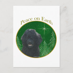 Peace i Vatten Vykort