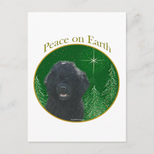 Peace i Vatten Vykort (Framsida)