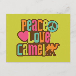Peace Kärlek Camel Vykort