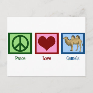 Peace Kärlek Camels Vykort
