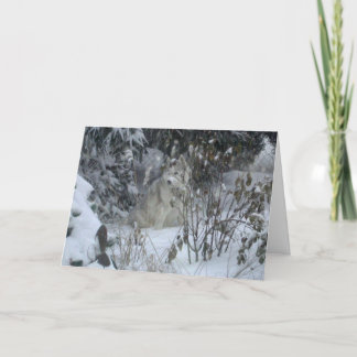 Peace Kärlek Joy Hund julkort Helgkort