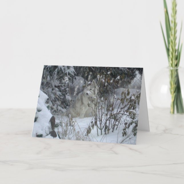 Peace Kärlek Joy Hund julkort Helgkort (Framsida)