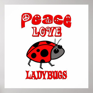 Peace Kärlek Ladybugs Poster