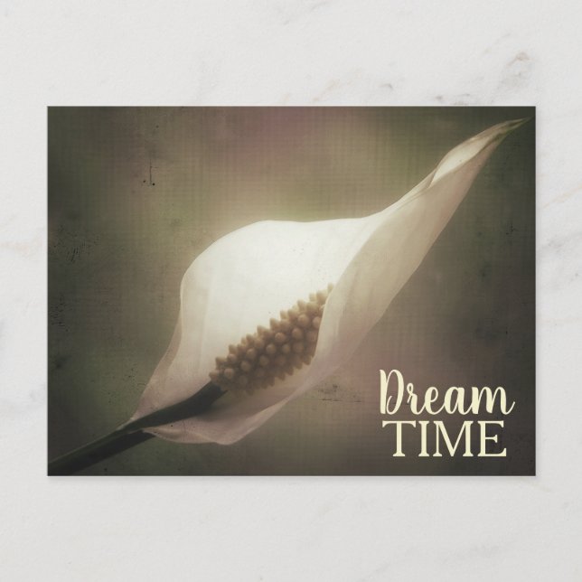 Peace Lily Dream Time Phrase Vykort (Framsida)