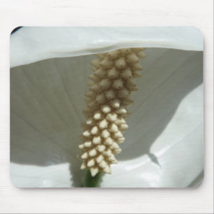 Peace Lily Elegant White Blommigt Musmatta