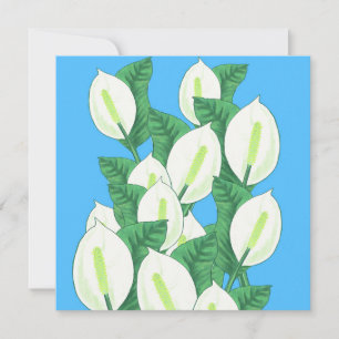 Peace Lily Illustration Greeting Card