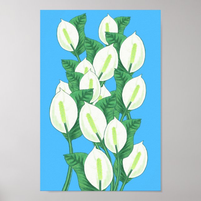 Peace Lily Illustration Poster (Framsidan)