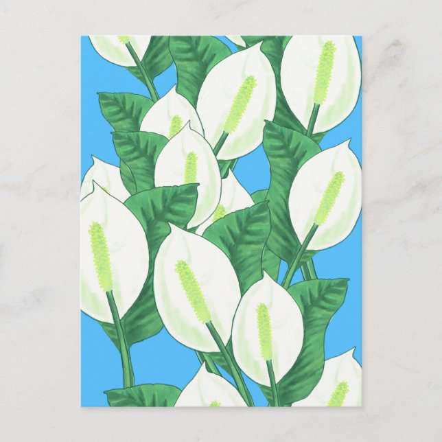 Peace Lily Illustration Vykort (Framsida)