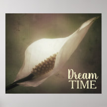 Peace Lily Photo Dream Time Phrase