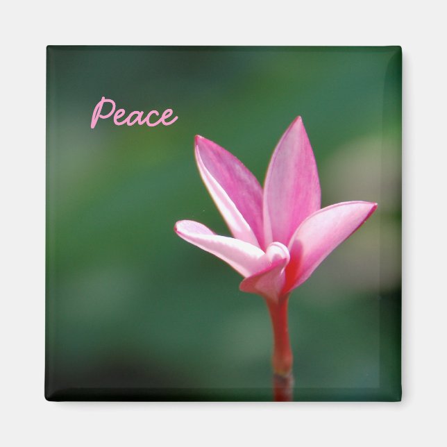 Peace Magnet (Framsidan)