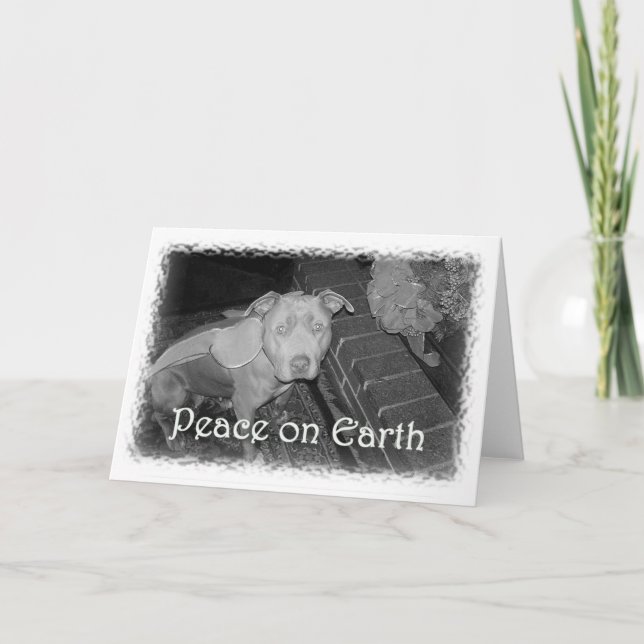 Peace on Earth Pit Bull Christmas Card Helgkort (Framsida)