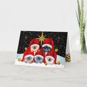 PEACE PÅ EARTH Chow-kort Kort