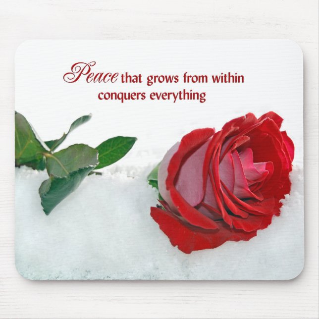 Peace Ro Musmatta (Framsidan)