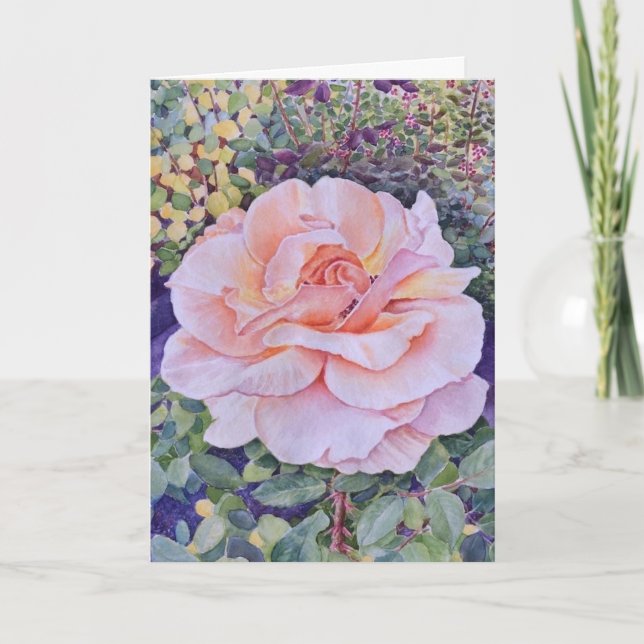 Peace Rose Kort (Framsida)