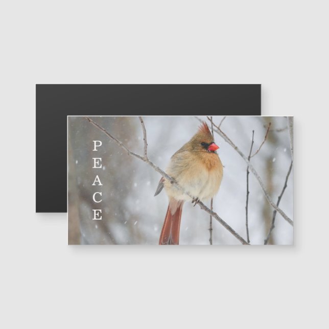 Peace Winter Cardinal Photo Magnet Card (Fram/baksida)