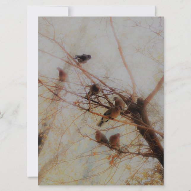 Peaceful Birds Flat Card (Framsida)