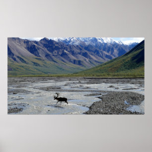 PEACEFUL LANDSCAPE MED REINDEER POSTER