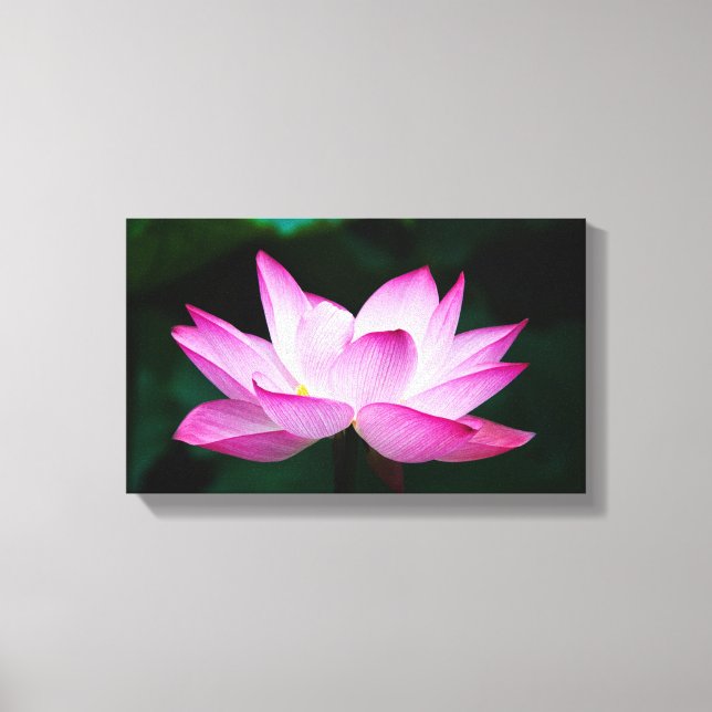 Peaceful Zen Lotus Flower Canvas Print (Framsida)