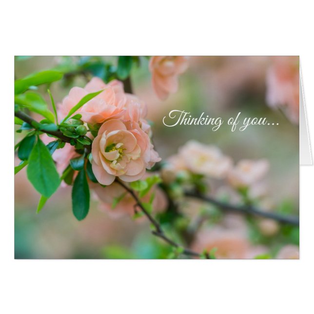 Peach Blommar Quince Thinking Card OBS Kort (Framsidan Horizontal)