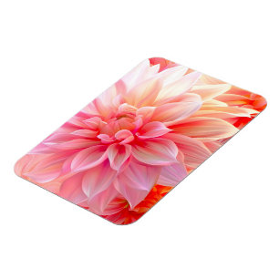 Peach Dahlia Blommar Magnet
