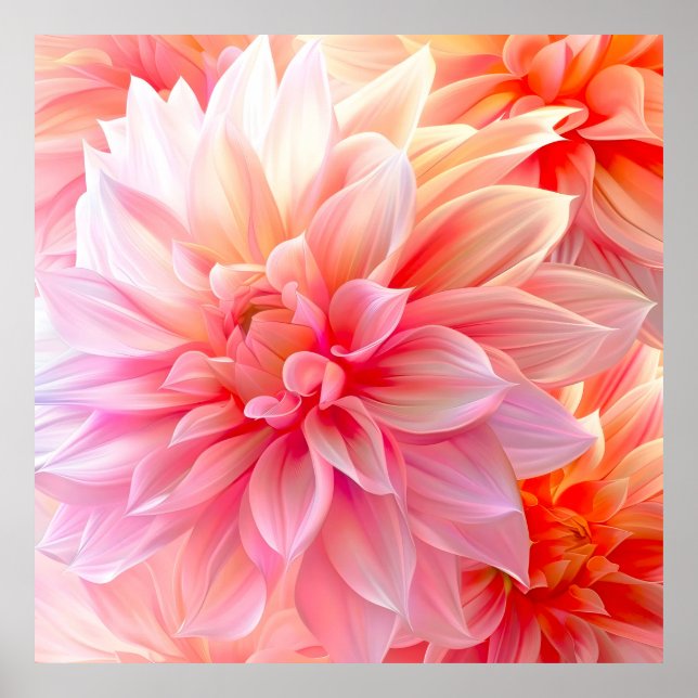 Peach  Dahlia Blommar Poster (Framsidan)