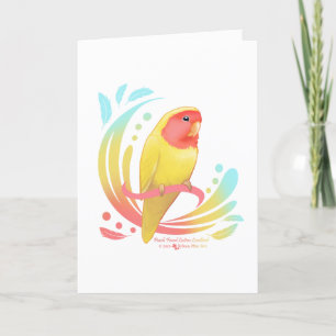 Peach Faced Lutino Lovebird Tack Kort