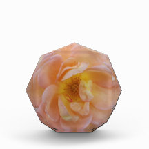 Peach-Färgad Ro