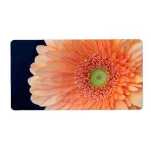 Peach Gerbera Fraktsedel