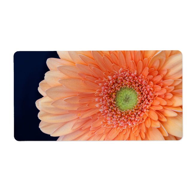 Peach Gerbera Fraktsedel (Framsidan)