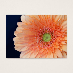 Peach Gerbera Visitkort