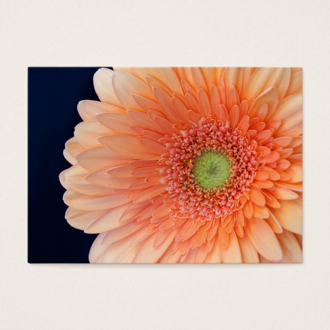 Peach Gerbera Visitkort (Framsidan)