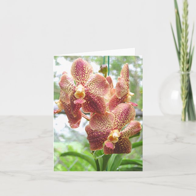PEACH, GULT & MAGENTA-FÄRGAD-ORCHID KORT (Framsida)