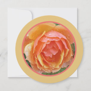 PEACH, GULT OCH SALMON FÄRGAD RO MED RAINDRO TACK KORT