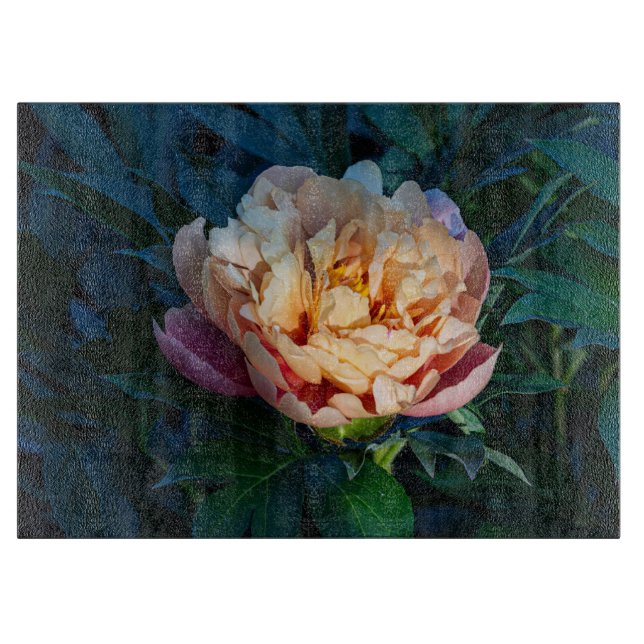 Peach Peony, Soft och Lush Bloom (Framsidan)