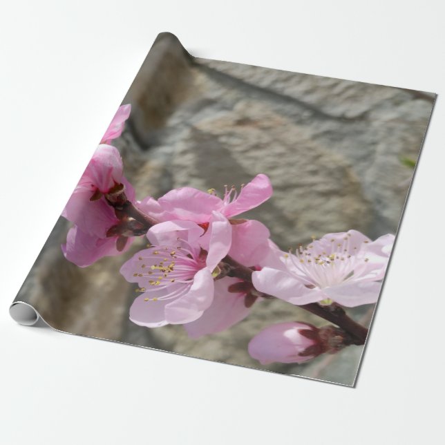 Peach petal flower presentpapper (Utrullad)