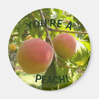 Peach Photo Text Du är en persika Magnet