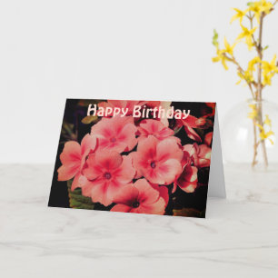 Peach Primrose Blomsterfotografi Birthday Card Kort