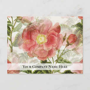 Peach Ro Business Survey Feedback Postcard Vykort