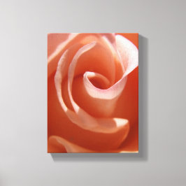 Peach Ro Canvas