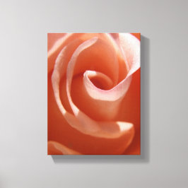 Peach Ro Canvas
