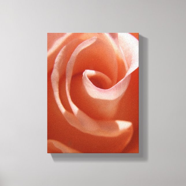 Peach Ro Canvas (Framsida)