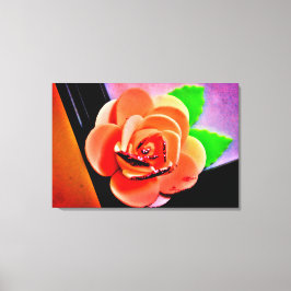 Peach Ro Canvastryck