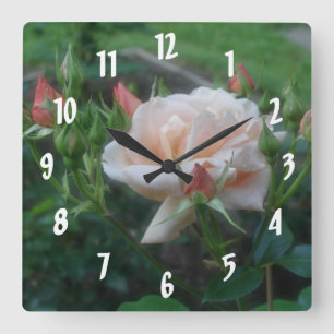 Peach Ro Flower Fyrkantig Klocka