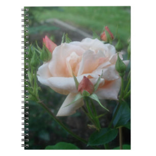 Peach Ro Flower Nature-anteckningsbok Anteckningsbok Med Spiral