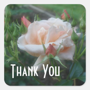 Peach Ro Flower Tack Sticker Fyrkantigt Klistermärke