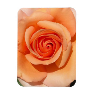 Peach Ro Magnet