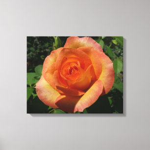 Peach Ro Orange Floral Photography Canvastryck